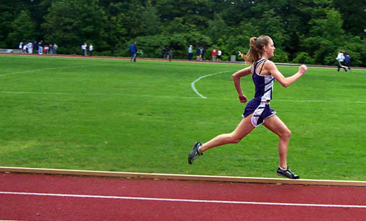 vanessa_in_flight